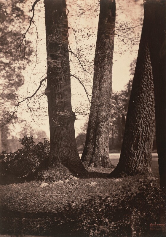 An Essay Concerning Human — cover